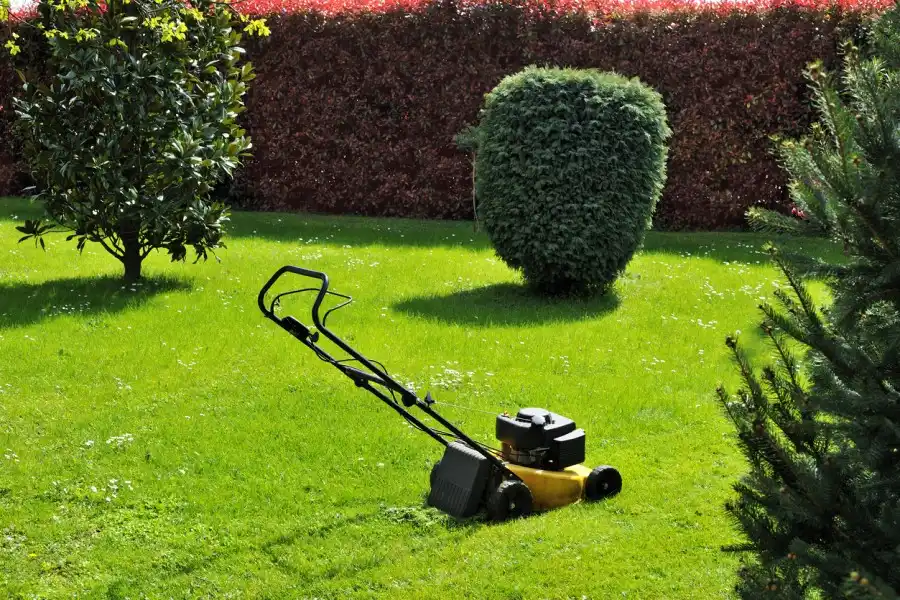 Landscaping